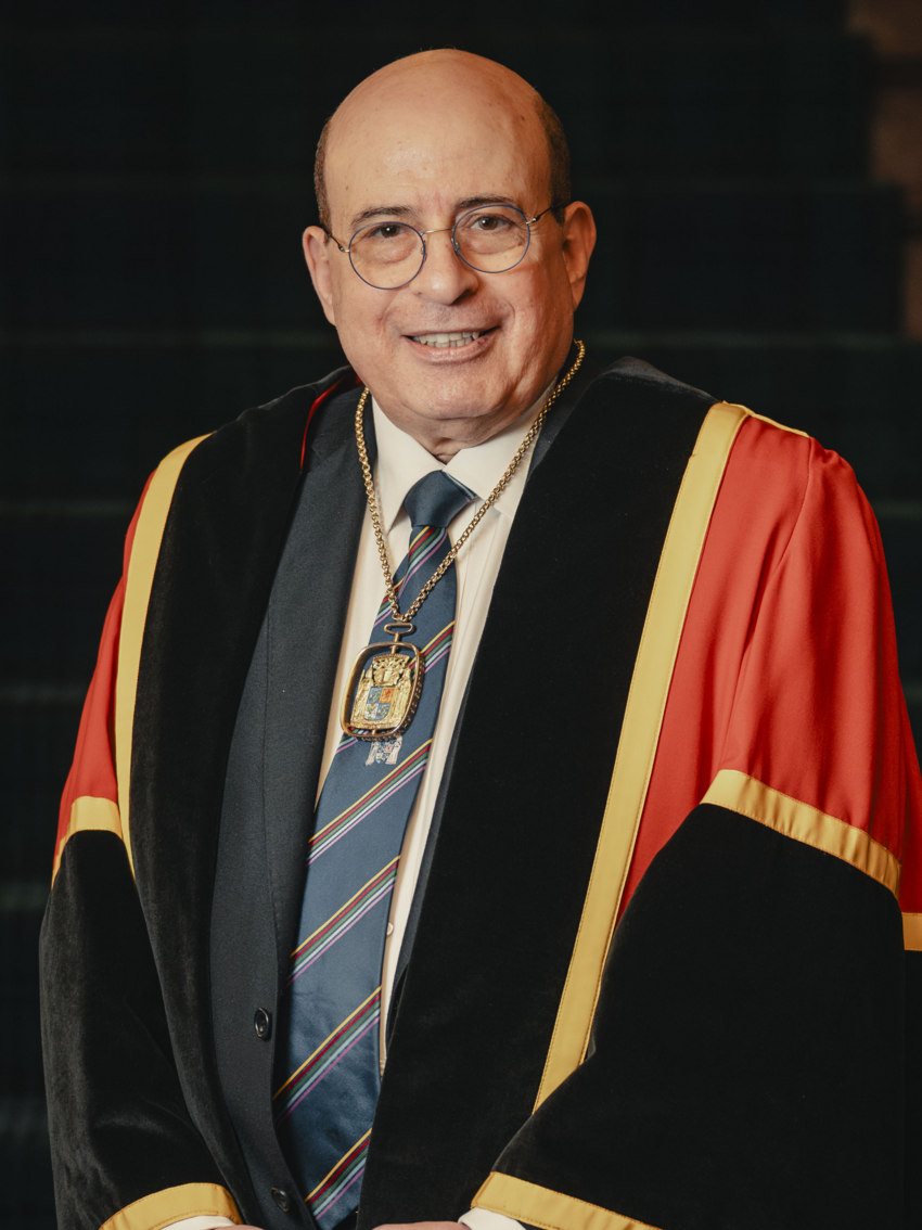 Professor Hany Eteiba